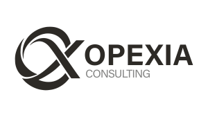 Logo de Opexia Consulting, consultoría de mejora de procesos y excelencia operacional, sobre fondo blanco